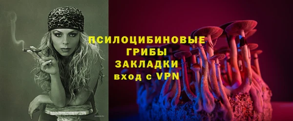 МДПВ Абдулино