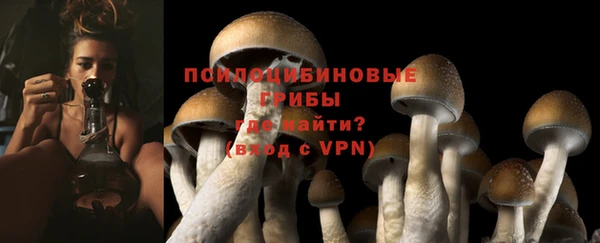 МДПВ Абдулино