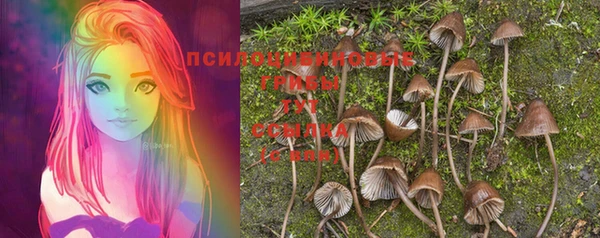 МДПВ Абдулино