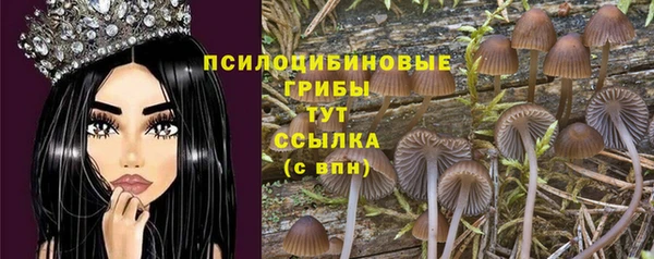 мет Абаза