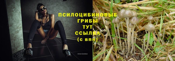 гидра Няндома