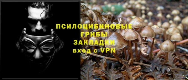 прущие крисы Абинск
