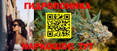 хмурый Анапа