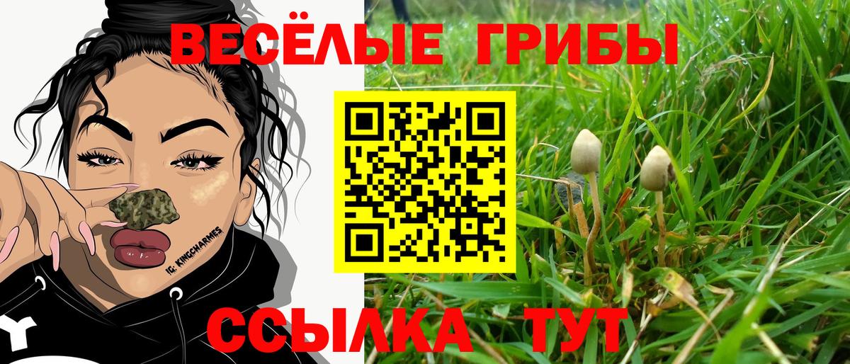 Псилоцибиновые грибы мицелий  Вход с VPN  Альметьевск 